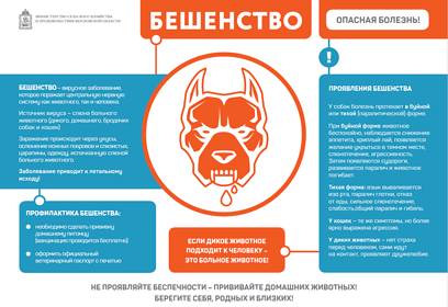 Территориальное ветеринарное управление № 1 информирует о подозрении на заболевание животного бешенством
