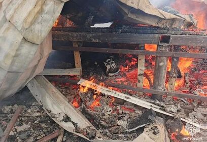 В Одинцовском округе с 29 июня по 5 июля произошло 10 пожаров