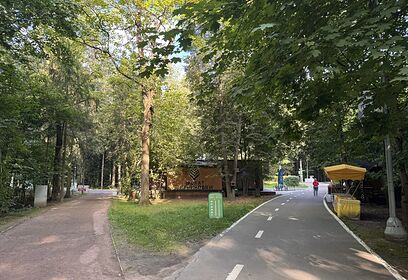 В Одинцовском парке культуры, спорта и отдыха в субботу, 14 августа, пройдет фестиваль «Семья. Лето. Парк»