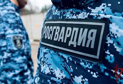 Одинцовские росгвардейцы задержали подозреваемого в краже ювелирных изделий
