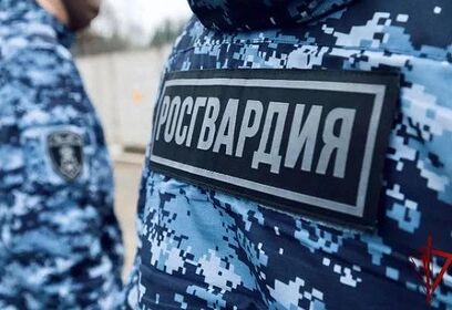 Одинцовские росгвардейцы задержали мужчину, находящегося в федеральном розыске