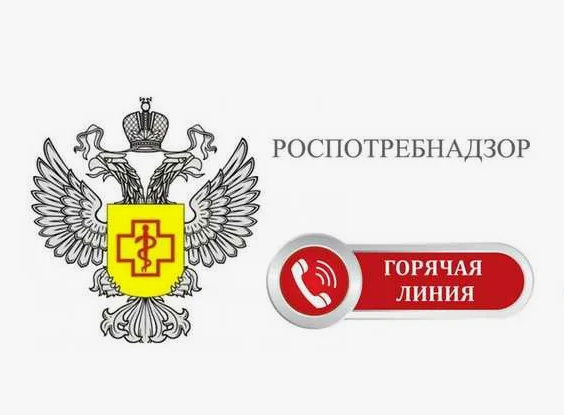 «Горячая линия» по вопросам защиты прав потребителей туристских услуг откроется в Одинцовском округе 26 мая
