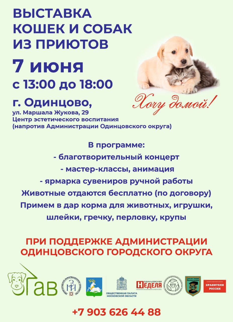 Благотворительная выставка животных из приютов пройдет в Одинцово 7 июня
