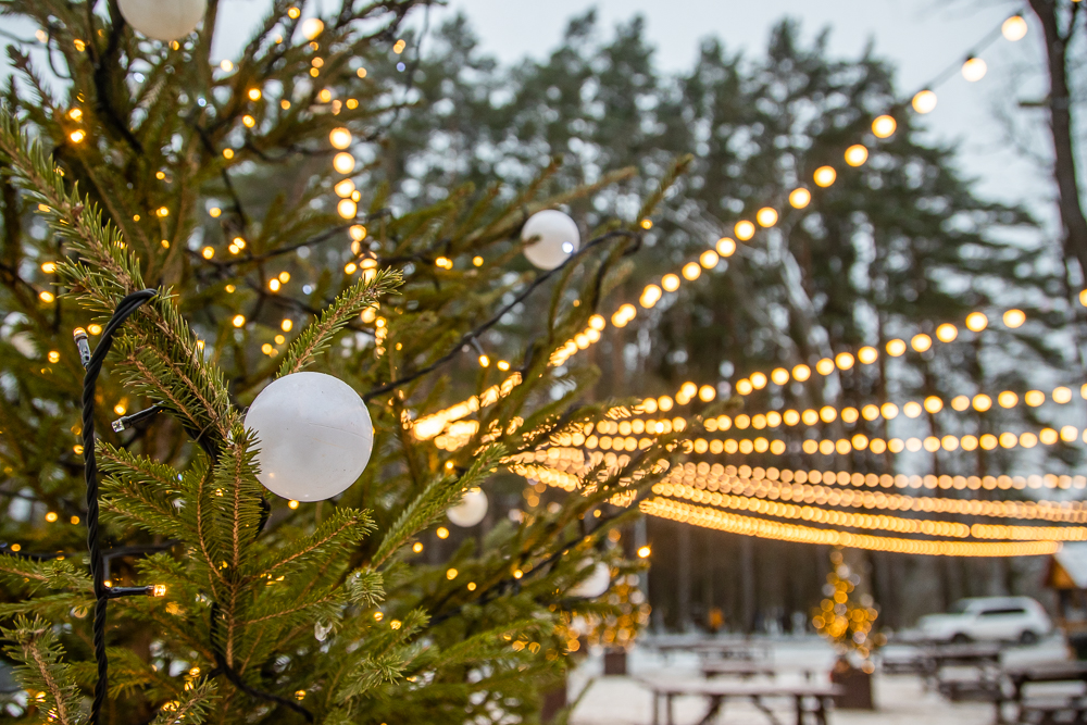 День Матери отметят в Одинцовском парке культуры, спорта и отдыха 30 ноября