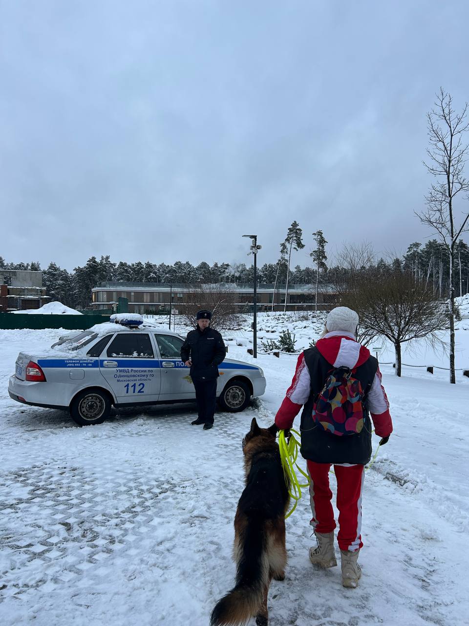 Сотрудники одинцовской полиции в 2025 году выявили 25 нарушений правил выгула собак в общественных местах