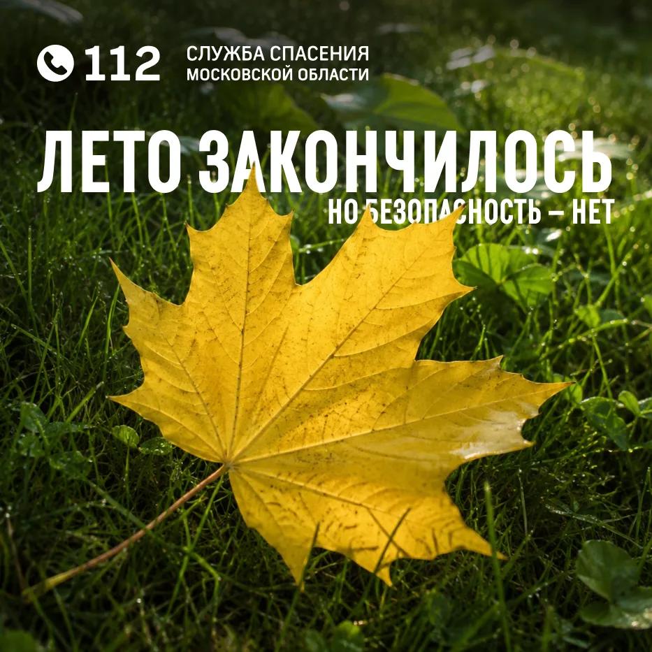 За период с 24 по 30 августа в Систему-112 Одинцовского округа поступило свыше 8400 обращений