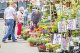 Тематическая ярмарка «Дом-Сад-Огород» прошла в Одинцово
