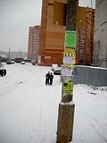 г. п. Лесной городок. Столб на улице Энергетиков, 2