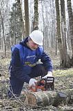 Андрей Иванов валил сухостой и пилил стволы упавших деревьев