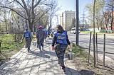 Фото: Красивый район — чистый район