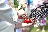 Фото: День семьи, любви и верности отпраздновали в Одинцово