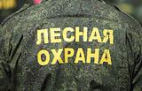 Фото: В Одинцовском районе прошла экоакция по вопросам вырубки пораженных короедом деревьев