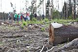 Фото: В Одинцовском районе прошла экоакция по вопросам вырубки пораженных короедом деревьев