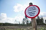 Фото: В Одинцовском районе прошла экоакция по вопросам вырубки пораженных короедом деревьев