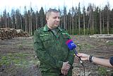 Фото: В Одинцовском районе прошла экоакция по вопросам вырубки пораженных короедом деревьев