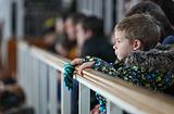 Фото: Московский конный завод №1 отметил 90-летний юбилей