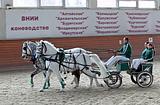 Фото: Московский конный завод №1 отметил 90-летний юбилей