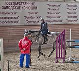 Фото: На базе Московского конезавода №1 могут создать Национальный конный парк
