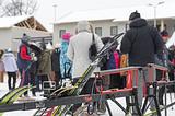 Фото: Почти тысяча лыжников приняла участие в ежегодной Манжосовской гонке