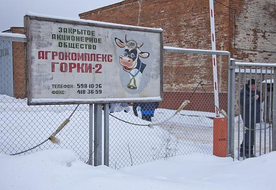 Власти Одинцовского района поддержат местных аграриев