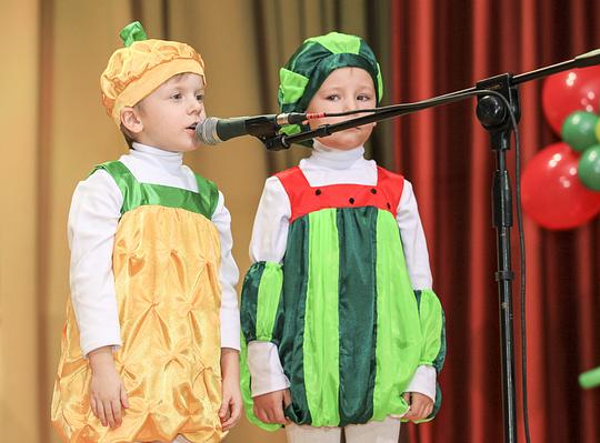 Победителем конкурса «Дошкольный педагог района» стала воспитатель из Новой Трехгорки