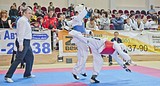 Фото: Спортсмены из восьми стран приняли участие в фестивале по тхэквондо на Кубок главы Одинцовского района