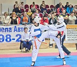 Фото: Спортсмены из восьми стран приняли участие в фестивале по тхэквондо на Кубок главы Одинцовского района
