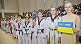 Фото: Спортсмены из восьми стран приняли участие в фестивале по тхэквондо на Кубок главы Одинцовского района