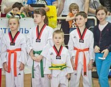 Фото: Спортсмены из восьми стран приняли участие в фестивале по тхэквондо на Кубок главы Одинцовского района