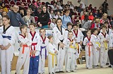 Фото: Спортсмены из восьми стран приняли участие в фестивале по тхэквондо на Кубок главы Одинцовского района