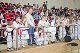 Фото: Спортсмены из восьми стран приняли участие в фестивале по тхэквондо на Кубок главы Одинцовского района