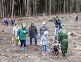Акция «Лес Победы» у деревни Дунино