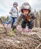 Акция «Лес Победы» у деревни Дунино