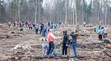Акция «Лес Победы» у деревни Дунино