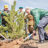 Акция «Лес Победы» в селе Иславском