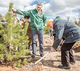 Глава Одинцовского района Андрей ИВАНОВ вместе с отцом посадил сосны у Дома культуры в Иславском