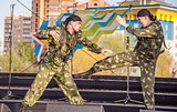 Фото: Салют в честь Дня Победы в Одинцово посетило рекордное число зрителей