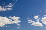 Фото: Одинцовские ветераны прокатились на вертолетах