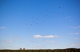 Фото: Одинцовские ветераны прокатились на вертолетах