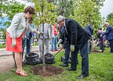 Фото: Свыше 50 предпринимателей Одинцовского района получили награды в свой профессиональный праздник