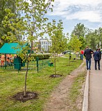 Фото: Свыше 50 предпринимателей Одинцовского района получили награды в свой профессиональный праздник