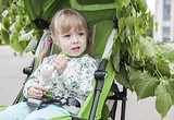 Фото: «Парад колясок» впервые прошёл в Одинцово