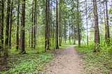 Фото: Многодетные семьи выбрали земельные участки в деревне Труфановка