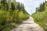 Фото: Многодетные семьи выбрали земельные участки в деревне Труфановка