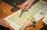 Фото: Многодетные семьи выбрали земельные участки в деревне Труфановка