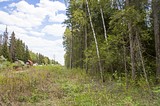 Фото: Многодетные семьи выбрали земельные участки в деревне Труфановка