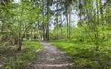 Фото: Многодетные семьи выбрали земельные участки в деревне Труфановка
