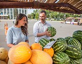 Фото: Фермерская ярмарка «Медово-Яблочный Спас» открылась в центре Одинцово
