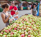 Фото: Фермерская ярмарка «Медово-Яблочный Спас» открылась в центре Одинцово
