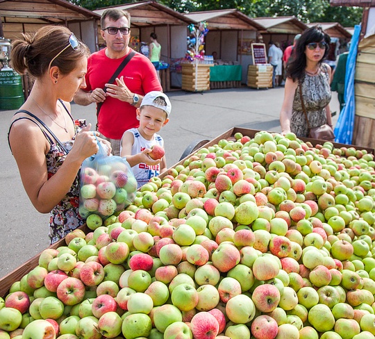 Фермерская ярмарка «Медово-Яблочный Спас» открылась в центре Одинцово